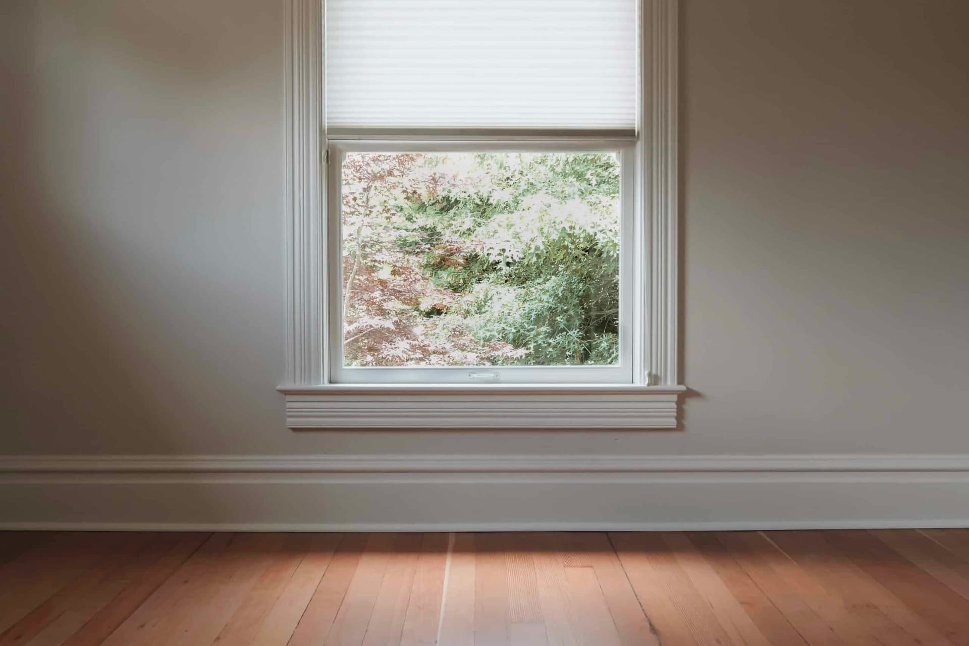 Freshly painted window trim with natural light — Mercer residence
