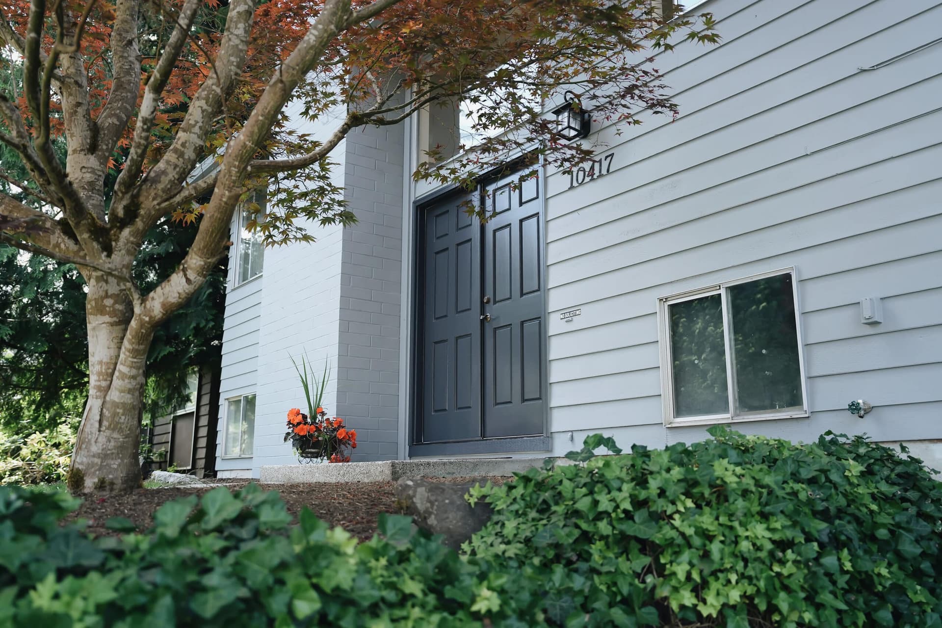 Stucco & Siding